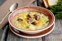 Фото к рецепту: Суп с куриными сердечками, плавленым сыром и лапшой