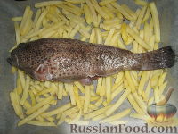 Фото приготовления рецепта: Морской окунь, запеченный с картофелем - шаг №2