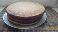 Фото приготовления рецепта: Пирог из песочных коржей, с лимонной начинкой - шаг №12