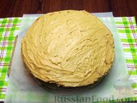 Фото приготовления рецепта: Медовый торт с кремом из варёной сгущёнки - шаг №26