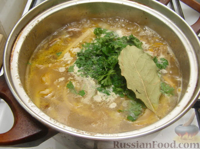 Грибной суп из сушеных грибов с лапшой и картошкой