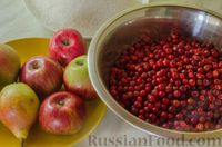 Фото приготовления рецепта: Брусничный джем с яблоками и грушами - шаг №1
