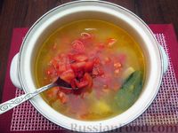 Фото приготовления рецепта: Суп из свинины с пшеном и помидорами - шаг №15