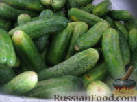 Фото приготовления рецепта: Салат «Нежинский» из огурцов на зиму - шаг №2