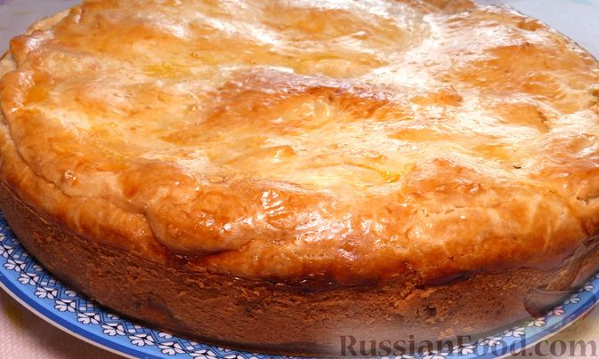 Ленивый курник, тертый пирог, шарлотка: 5 простых рецептов полезных и вкусных пирогов