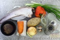 Фото приготовления рецепта: Горячий свекольник с рыбой - шаг №1