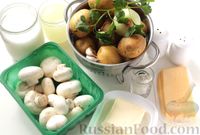 Фото приготовления рецепта: Картофельная запеканка с грибами в сливочном соусе - шаг №1