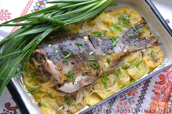 Сазан в духовке с картошкой: рыба готовится сразу с гарниром