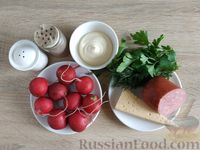 Фото приготовления рецепта: Салат из редиски, колбасы и сыра - шаг №1