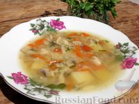 Фото приготовления рецепта: Куриный суп с фасолью, грибами, капустой и пшеном - шаг №17