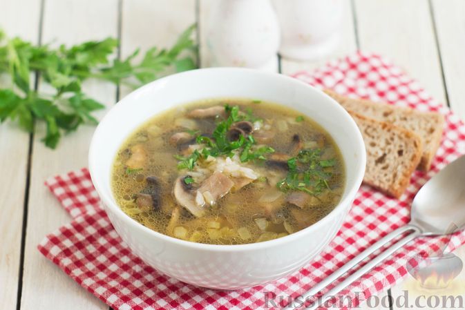 Грибной суп из шампиньонов: рецепты с фото