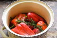 Фото приготовления рецепта: Квашеный болгарский перец (на зиму) - шаг №5