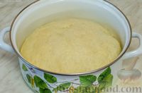 Фото приготовления рецепта: Дрожжевой пирог с индейкой, картошкой и грибами - шаг №15
