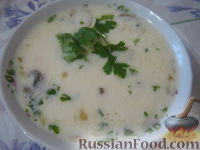 Фото к рецепту: Суп сырный с шампиньонами