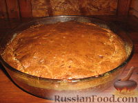 Фото к рецепту: Несладкий кекс-пирог с цуккини и беконом