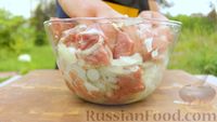 Фото приготовления рецепта: Шашлык из свинины на виноградной лозе - шаг №1