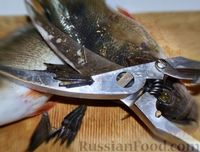 Фото приготовления рецепта: Про копчёных рыб - шаг №3