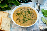Фото приготовления рецепта: Чечевичный суп-пюре со щавелем, на курином бульоне - шаг №15