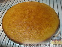 Фото приготовления рецепта: Торт "Панчо" с черносливом, сметаной и грецкими орехами - шаг №11