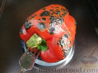 Фото приготовления рецепта: Галета с кабачками, помидорами, сладким перцем и зеленью - шаг №5