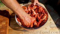 Фото приготовления рецепта: Шашлык из куриных крыльев на мангале - шаг №2