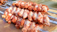 Фото приготовления рецепта: Шашлык из куриных крыльев на мангале - шаг №3