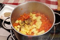 Фото приготовления рецепта: Томатный суп с фрикадельками и рисом - шаг №15