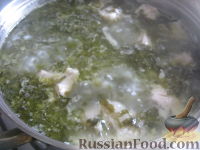 Фото приготовления рецепта: Бабушкин зеленый борщ - шаг №9