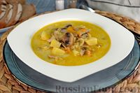 Фото к рецепту: Куриный суп с грибами, вермишелью, сливками и яблоком