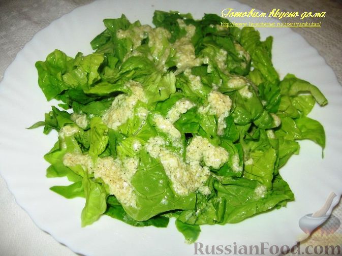 Свежие зеленые салаты