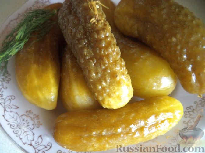 Рецепты закусок из огурцов на зиму: варенье, соленья и маринады