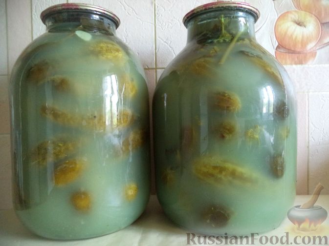 Засолка огурцов на зиму горячим способом: пошаговый рецепт
