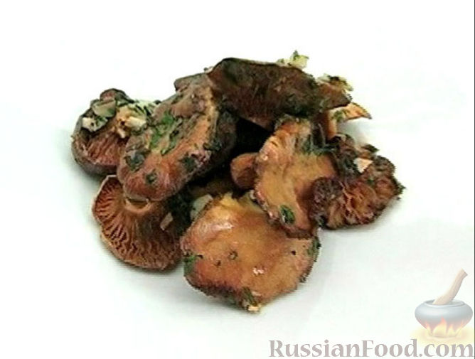Рыжики — съедобные грибы: описание полезных свойств с фото