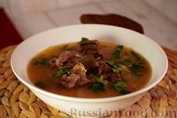Фото к рецепту: Щи по-польски, из свежей капусты