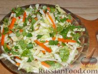 Фото к рецепту: Салат из капусты с морковью и яблоками