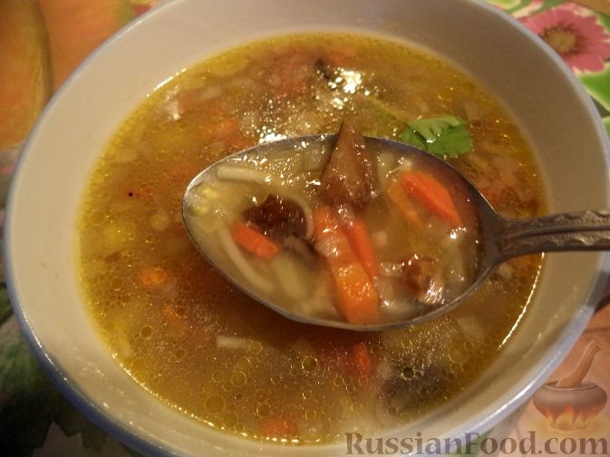 Грибной суп из сушеных грибов с рисом - рецепт с фото