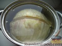 Фото приготовления рецепта: Кимчи из белокочанной капусты - шаг №6