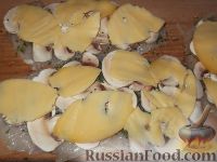 Фото приготовления рецепта: Рулетики из куриной грудки с грибами - шаг №9