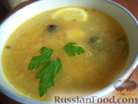 Фото к рецепту: Простой суп из чечевицы