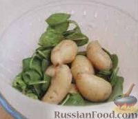 Фото приготовления рецепта: Картофельная запеканка с сыром фета - шаг №1